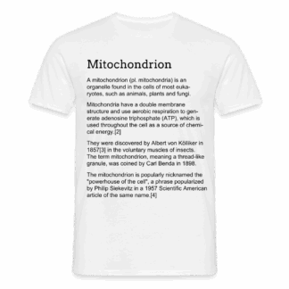Mitochondrion